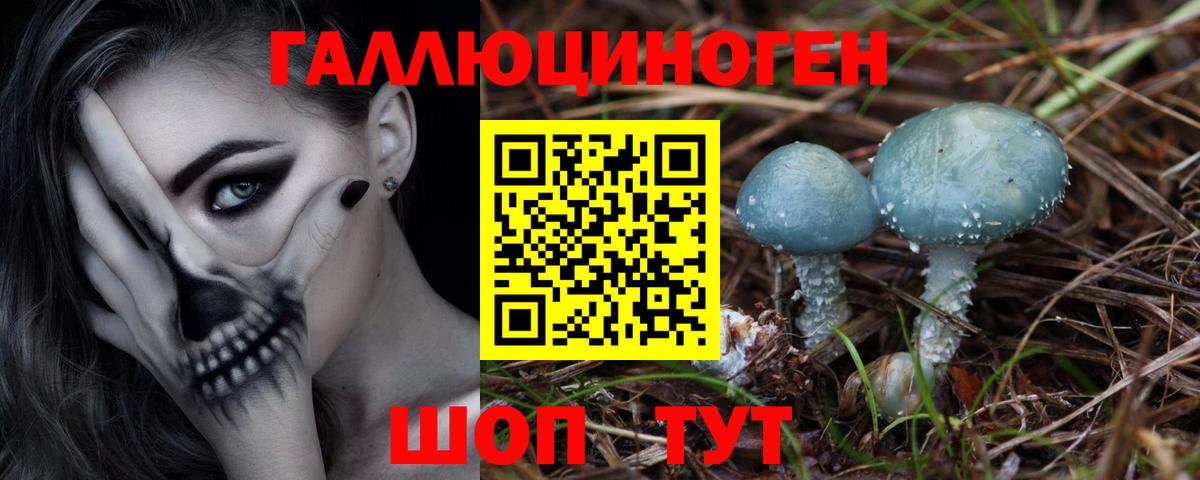 Псилоцибиновые грибы мицелий Арсеньев