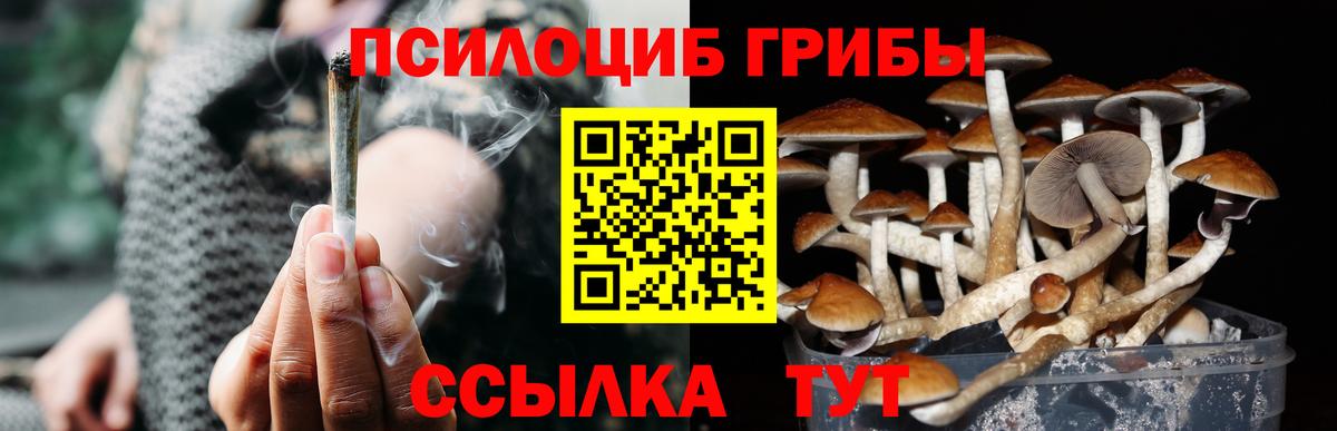Арсеньев  Псилоцибиновые грибы GOLDEN TEACHER  Вход с VPN 